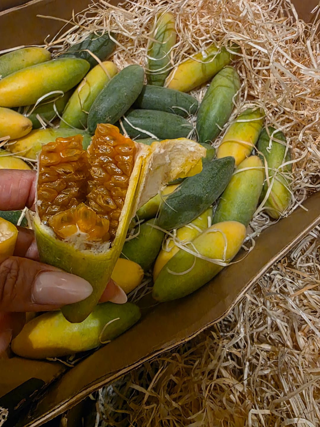 Customer photo review of Curuba (Bananen-Maracuja)
