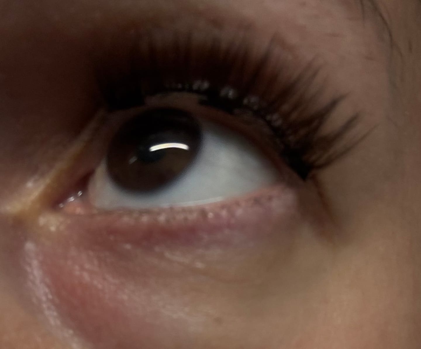 Customer photo review of VANCOUVER - Clip On Lashes
