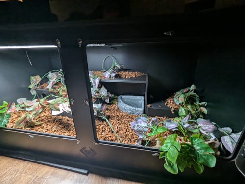 Customer photo review of XT4 BIO24 (48Lx24Dx24H) - STACKABLE
