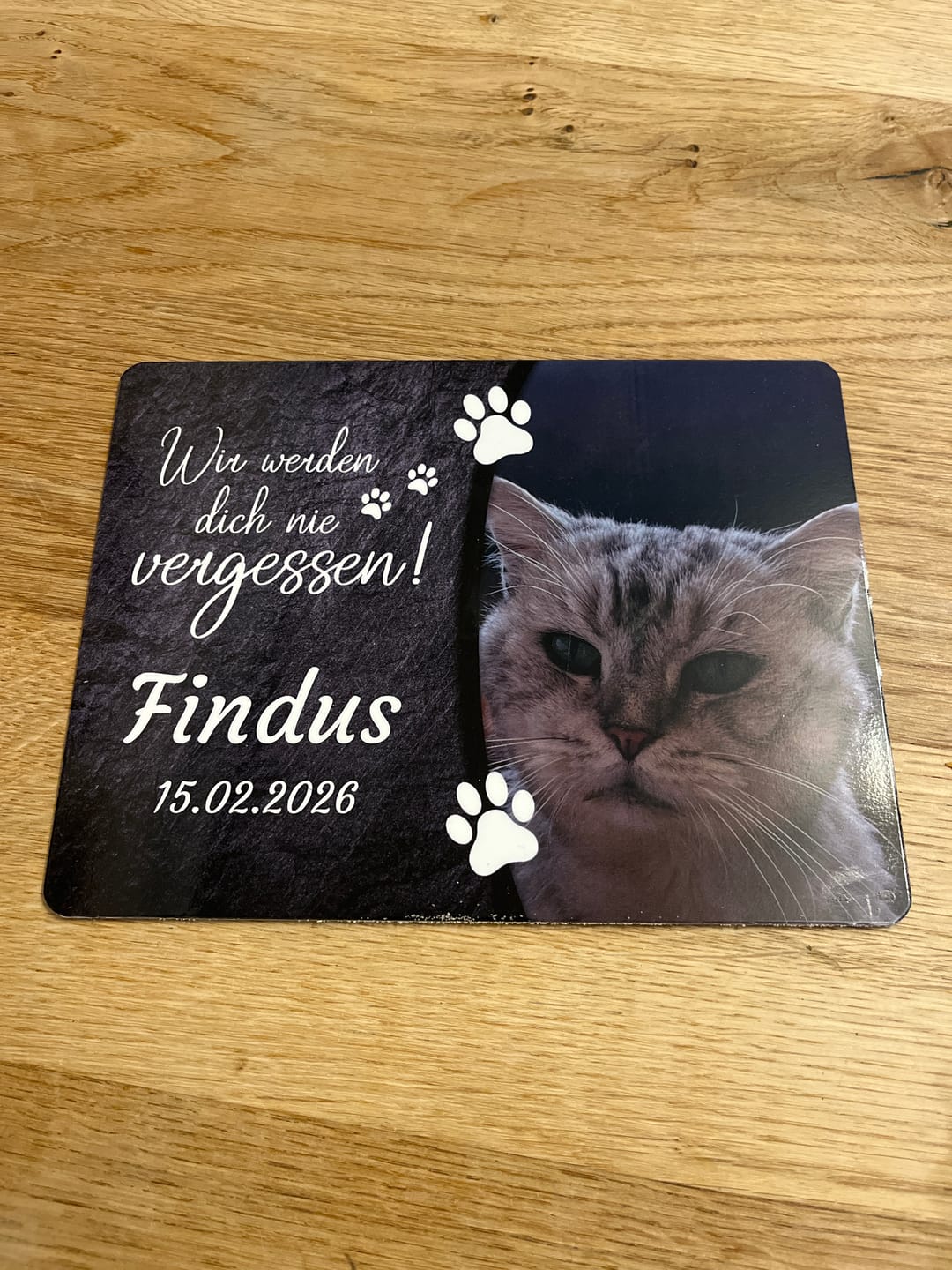 Customer photo review of Katzen Gedenktafel mit Foto & Spruch (UV- & Wetterfest)