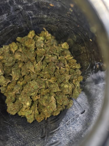 Customer photo review of Girl Scout Cookies Smalls Wholesale