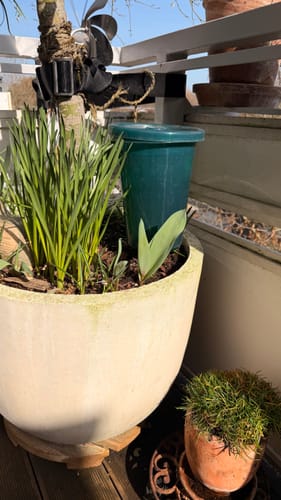 Customer photo review of Ersatztonkegel für Hochbeet Bewässerungssystem "Hydro Cup"