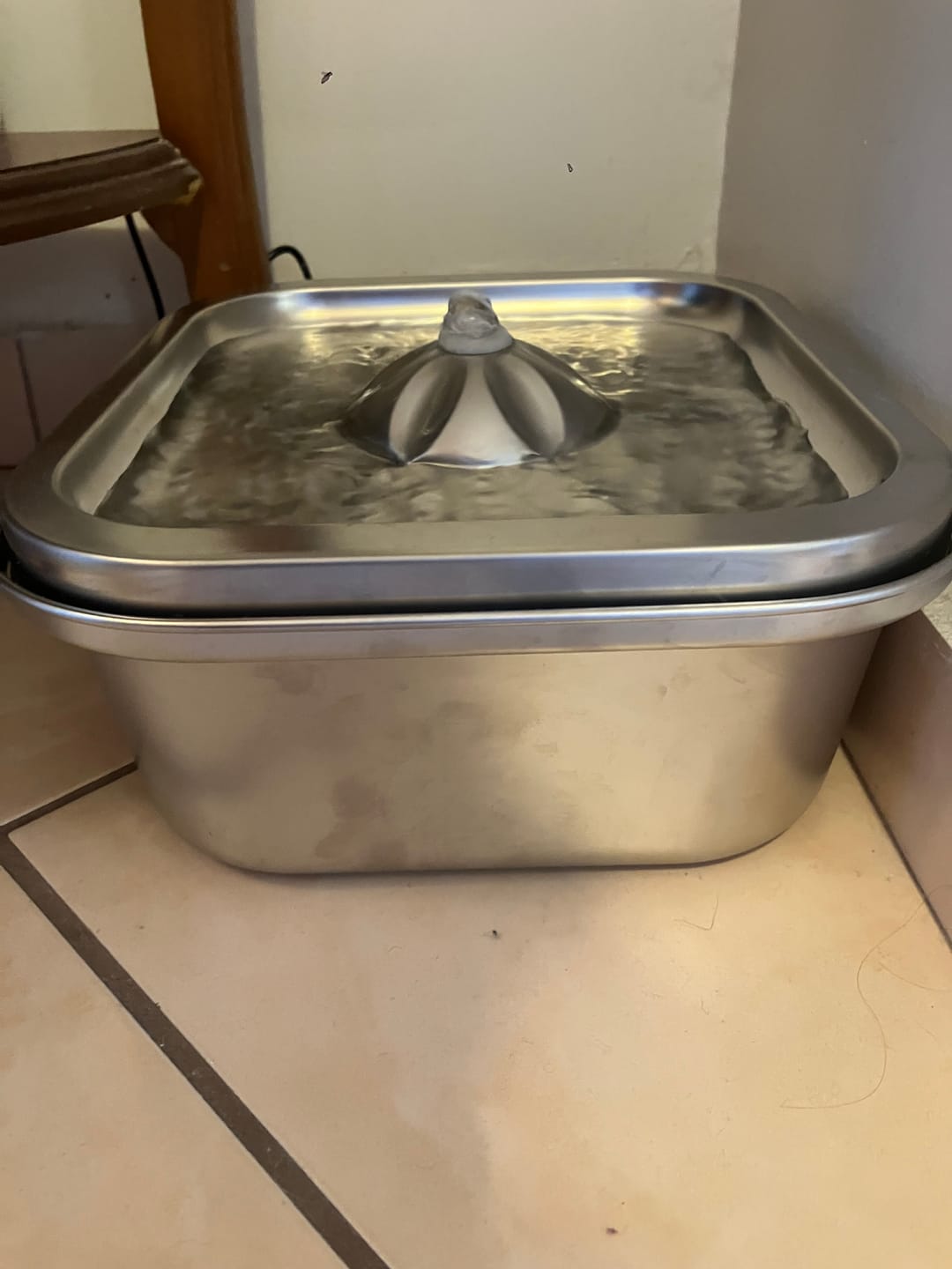 Customer photo review of Kedi Su Pınarı | 3 Lt, Çelik, Akıllı, Ultra Sessiz, Mobil Kontrol Destekli, Kedi Çeşmesi (X8651)