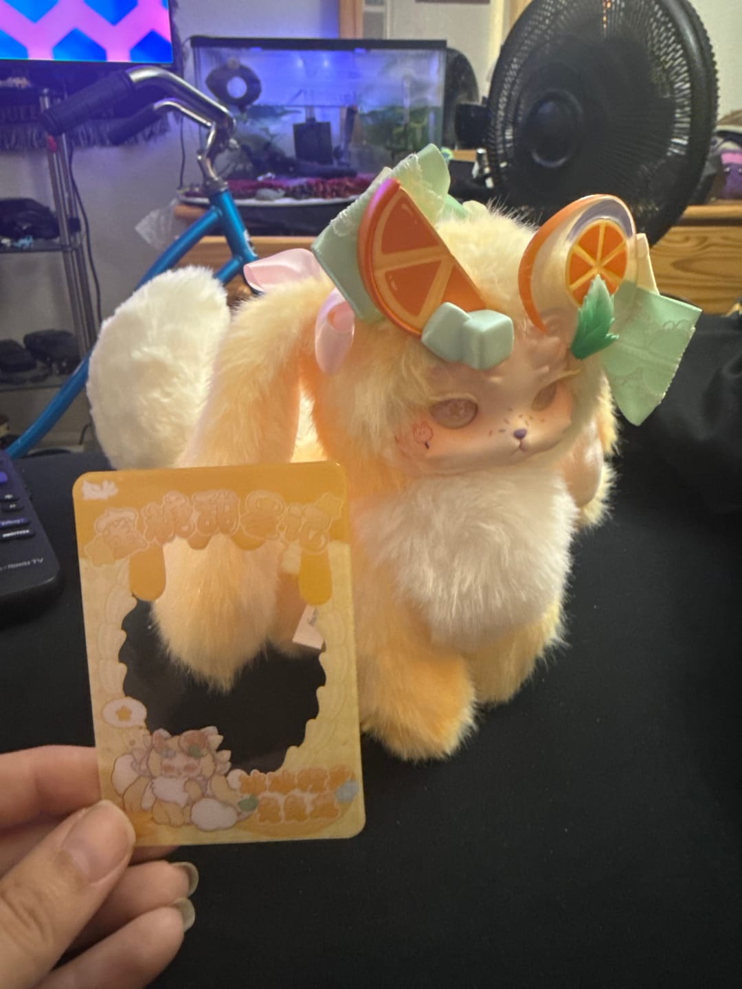 Customer photo review of Tutulong Fantasy Creatures Honey Star Drops Series Plush Blind Box