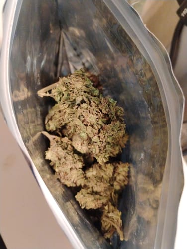 Customer photo review of Cheap THCA Flower Ounce