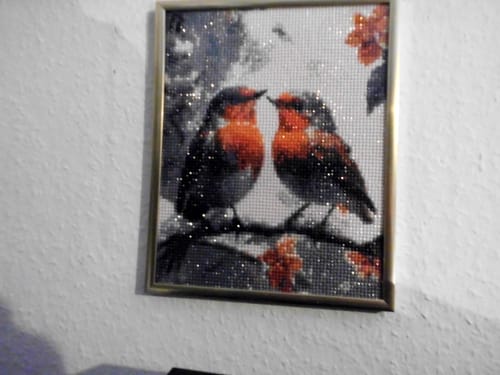 Kundenbewertung mit Foto zu 2 Rotkehlchen im Winter