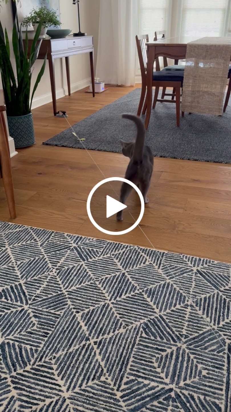 Customer video review of Pounce! Pulley Pack