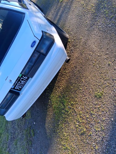 Customer photo review of 2011-2022 CALIFORNIA LICENSE PLATE DMV.CA.GOV - BLACK WITH WHITE TEXT 6"x12" (156.5mm x 305mm)