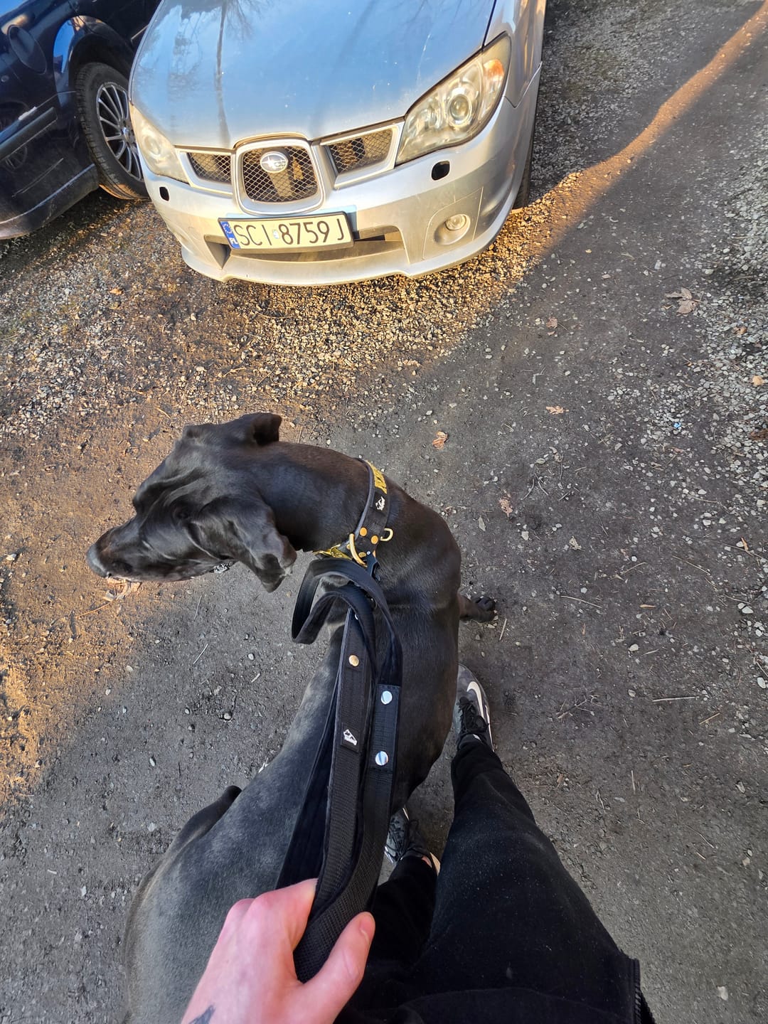 Customer photo review of Smycz z dodatkową rączką - Guard Leash Czarna