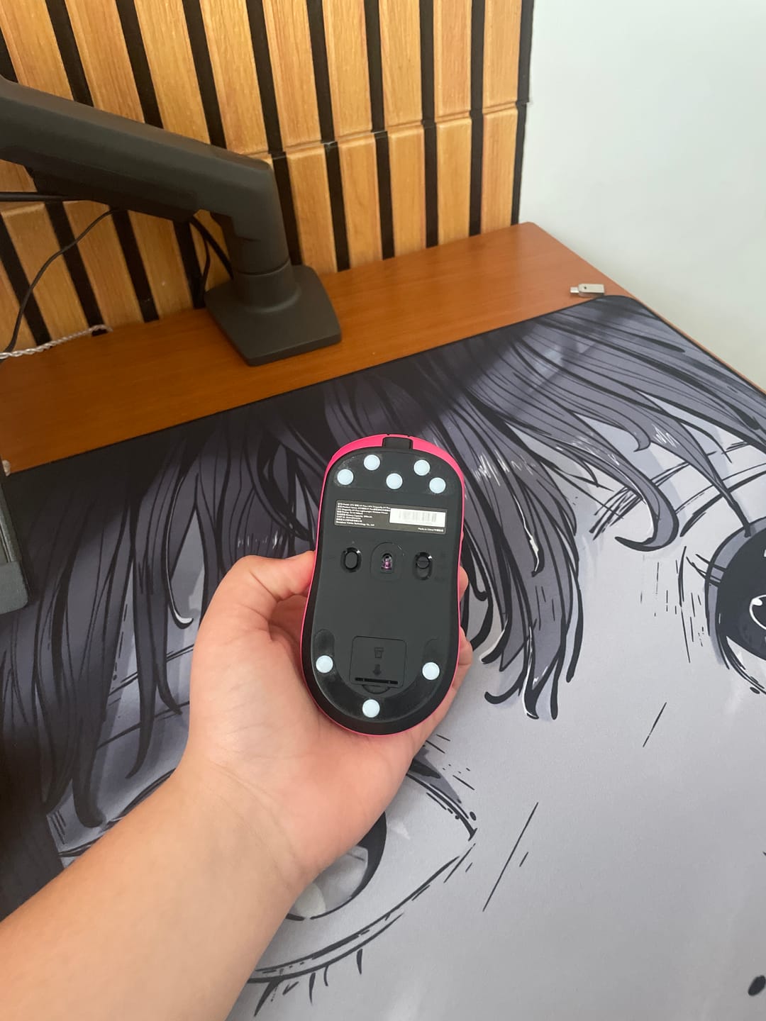 Customer photo review of X-Raypad Jade Mouse Skates