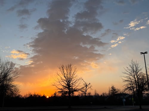 Customer photo review of DTF Transfers Upload Your Gang Sheet