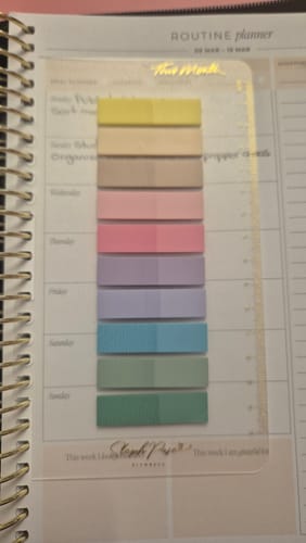 Customer's Snap-in Sticky Note Bookmark with colorful tabs and a ruler, attached inside a spiral planner.