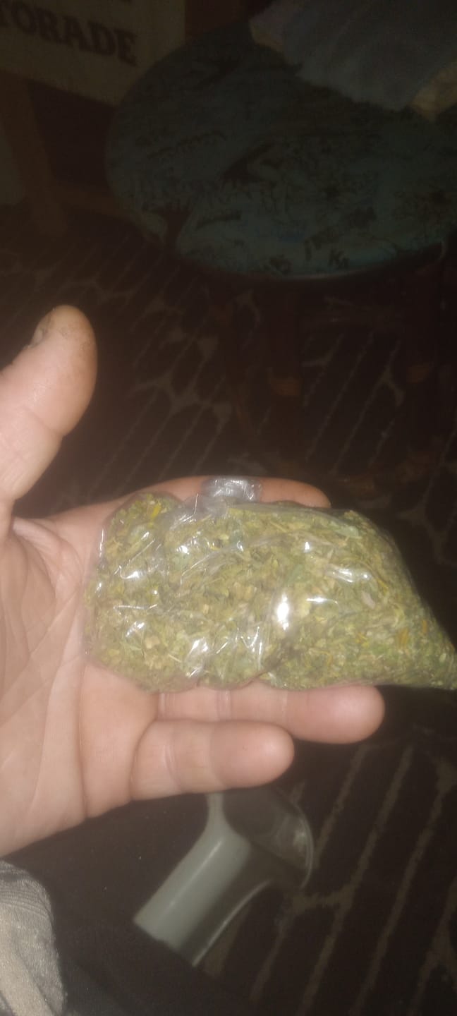Customer photo review of Lemon Haze Indoor THCA Trim
