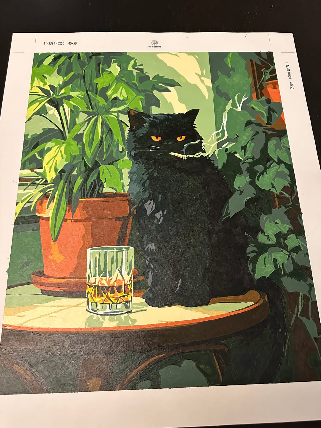 Customer photo review of Grumpy cat | Paint by Number