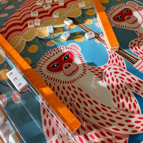 Customer photo review of Crystal Clear Siamese Racks