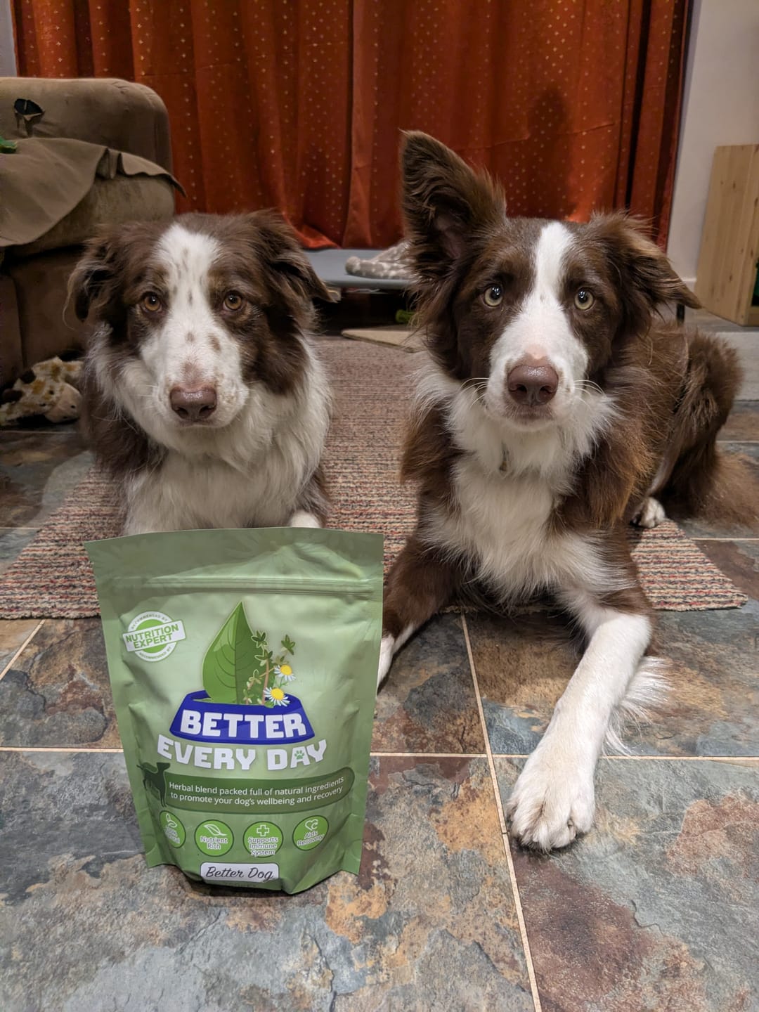 Customer photo review of Better Every Day (40% off applied at checkout)