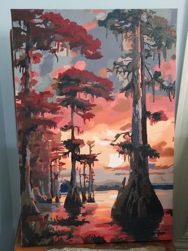 Customer photo review of Swamp at Dusk