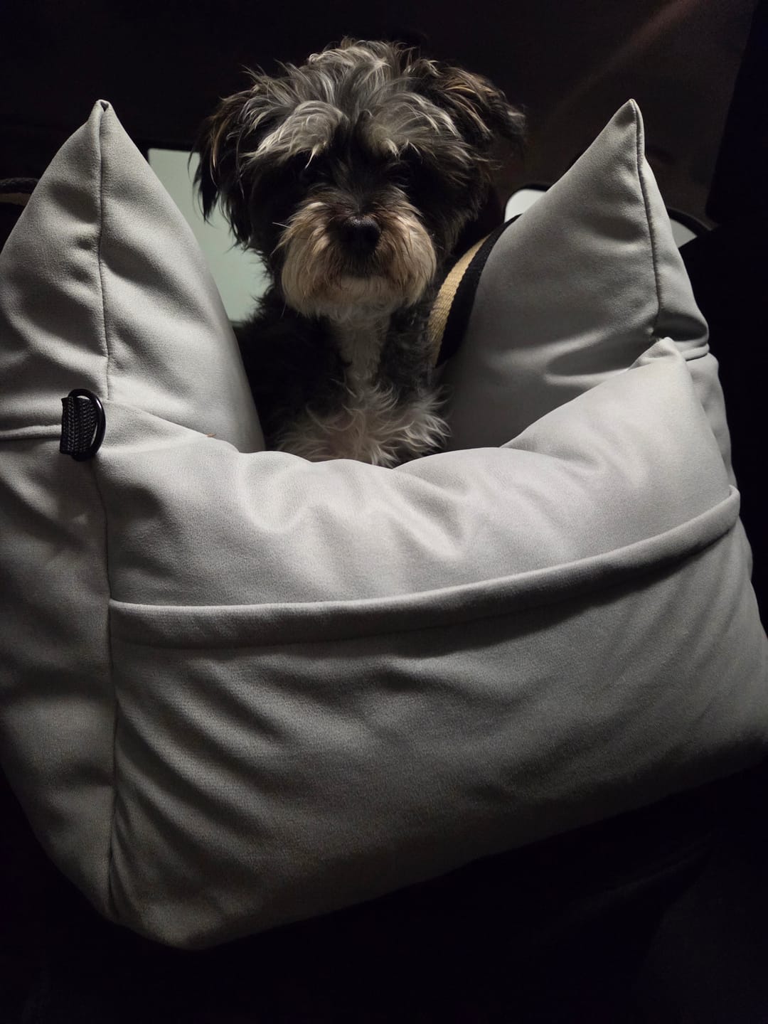 Customer photo review of Boujee Booster