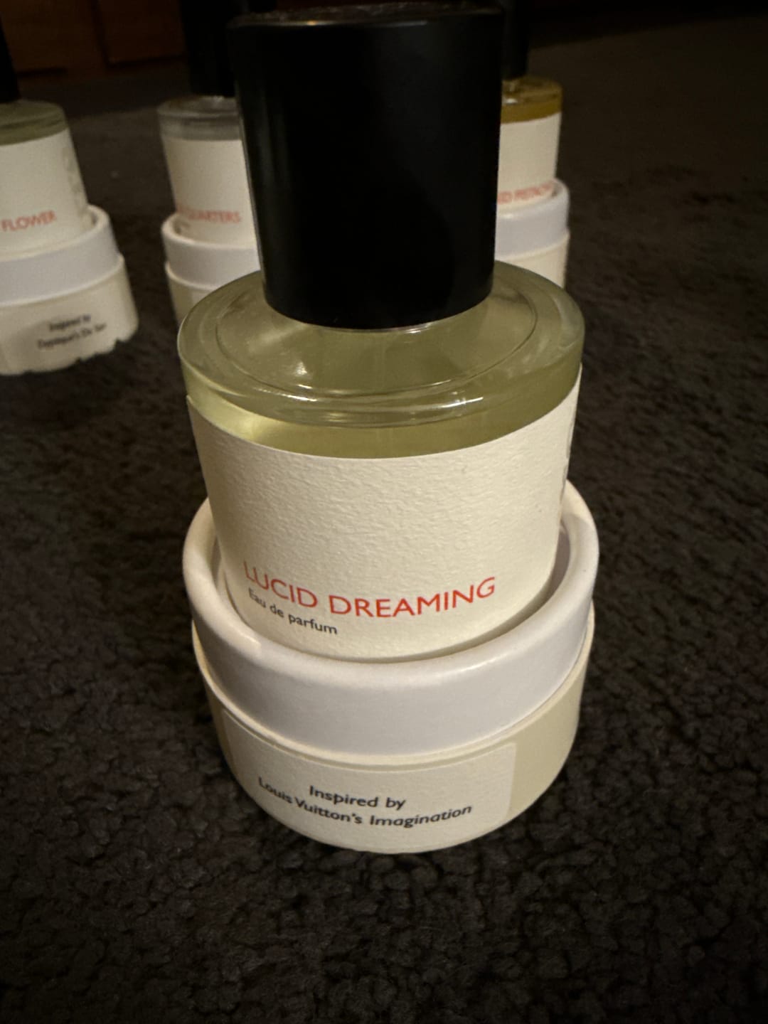 Customer photo review of Lucid Dreaming