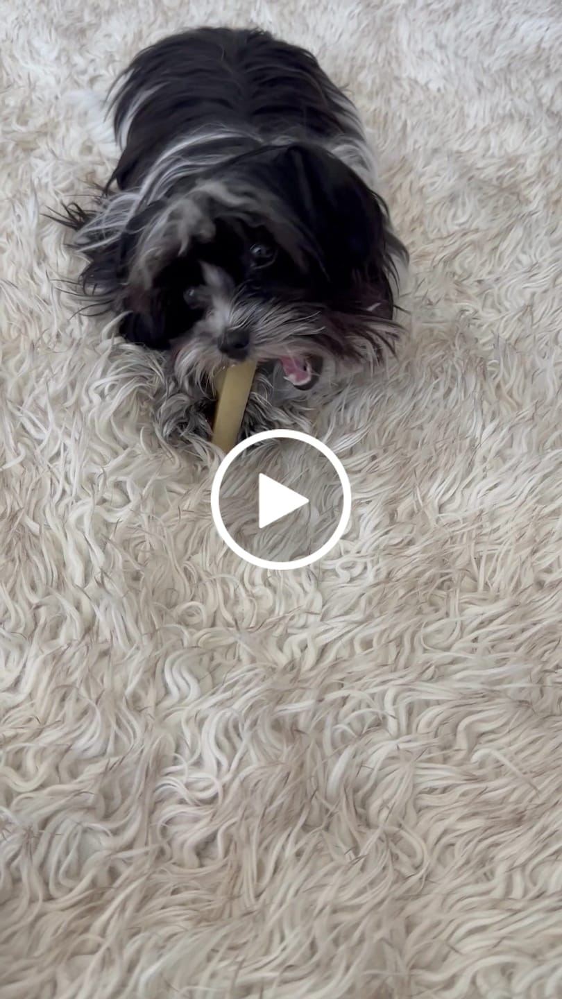 Customer video review of Regular/Unflavored Himalayan Yak Chews | 6-Sizes (for Small to Big Dogs)