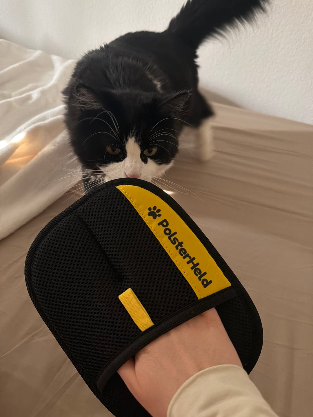 Customer photo review of PolsterHeld™