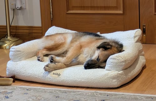 Customer photo review of Marshmallow | The Teddington Sofa