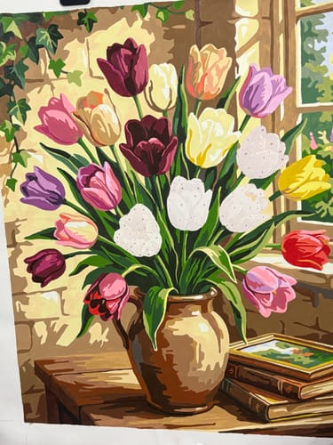 Customer photo review of Morning Tulip Harmony