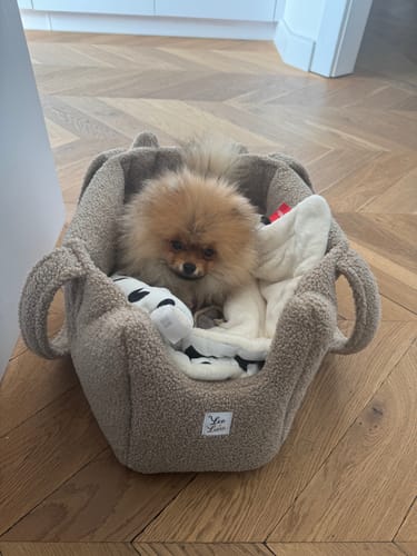 Customer photo review of Borsa Bouclé Teddy Noce