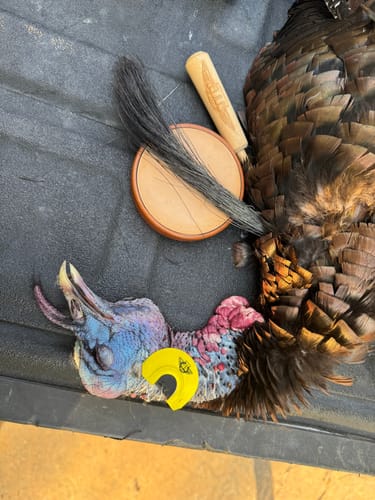 Customer photo review of Split V Diaphragm