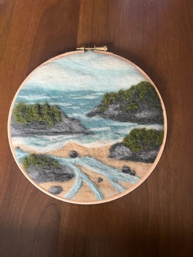 Customer photo review of Coastal Waters Needle Felting Kit