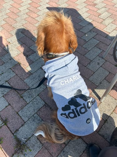 Customer photo review of Felpa "Adidog" Grigia Personalizzabile con nome