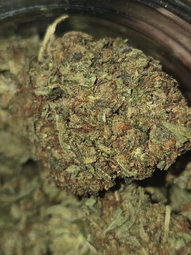 Customer photo review of Neon Nights Exotic THCa Flower 3.5g 🟢 Hybrid
