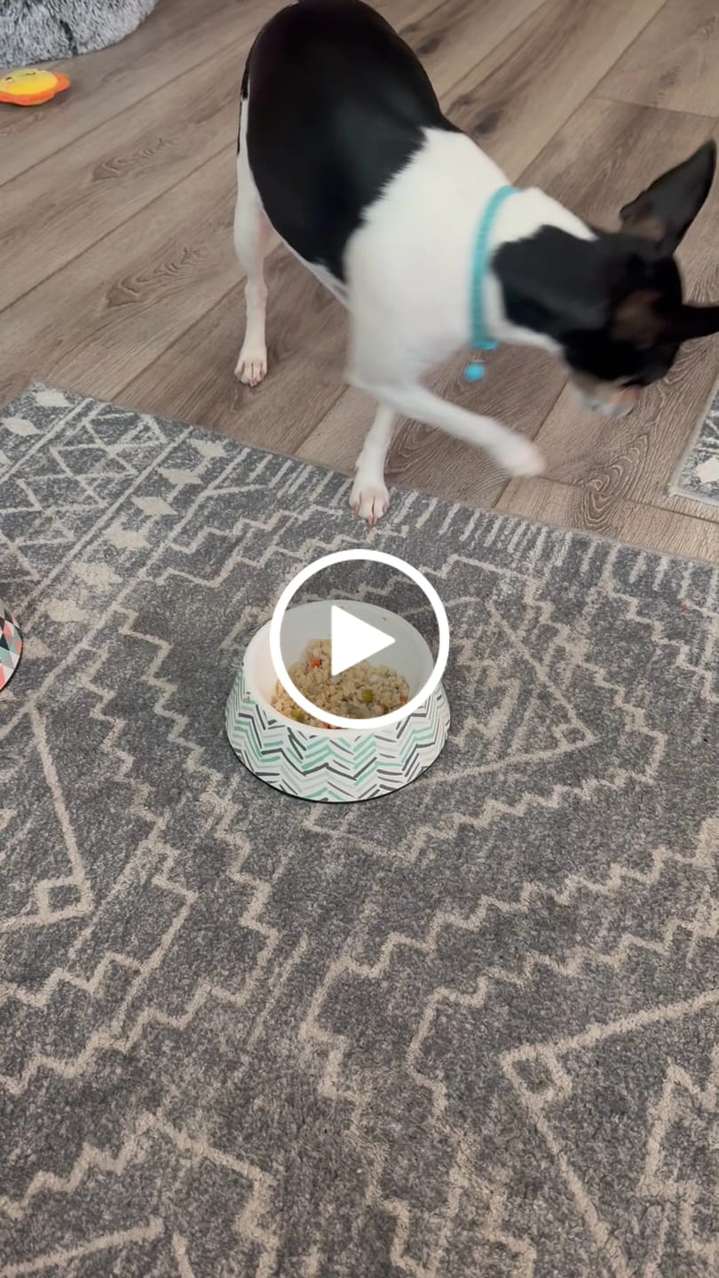 Customer video review of Whole Grain Original