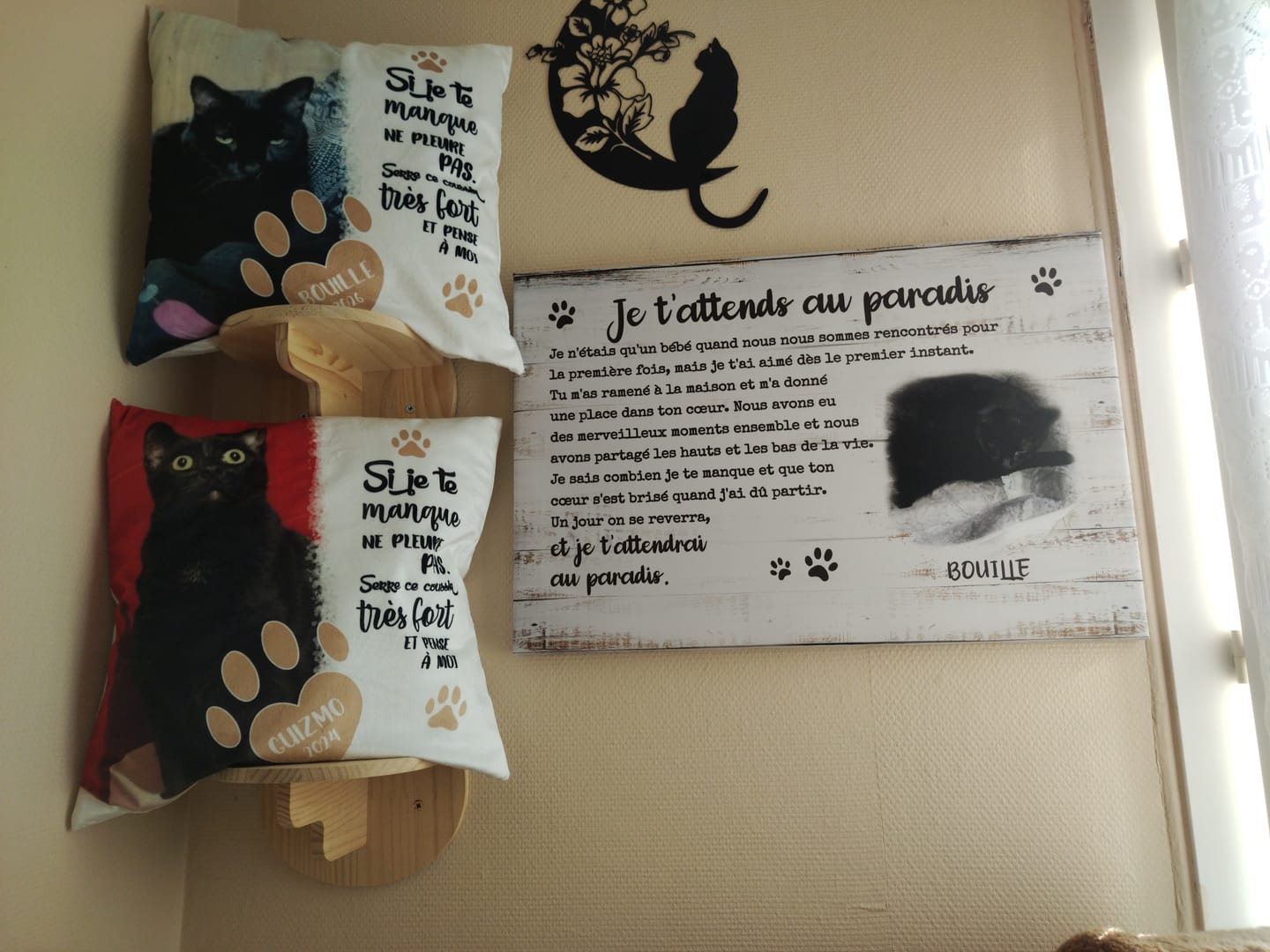 Customer photo review of Si je te manque - Coussin personnalisé
