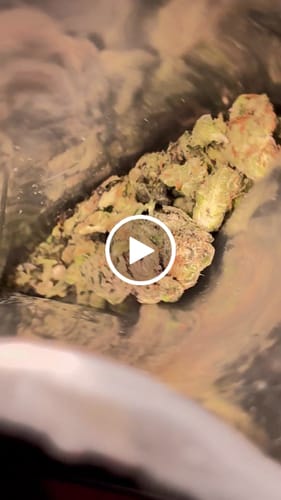 Customer video review of THCa Indoor Smalls