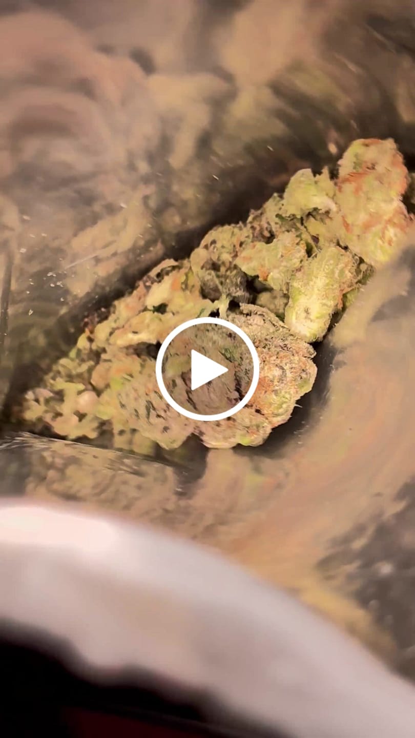 Customer video review of THCa Indoor Smalls