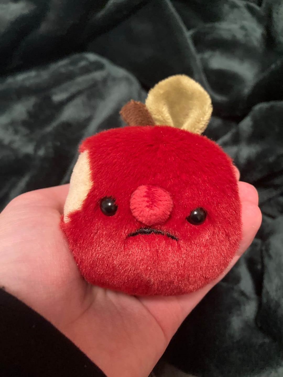 Customer photo review of Forgotten Bitten Apple