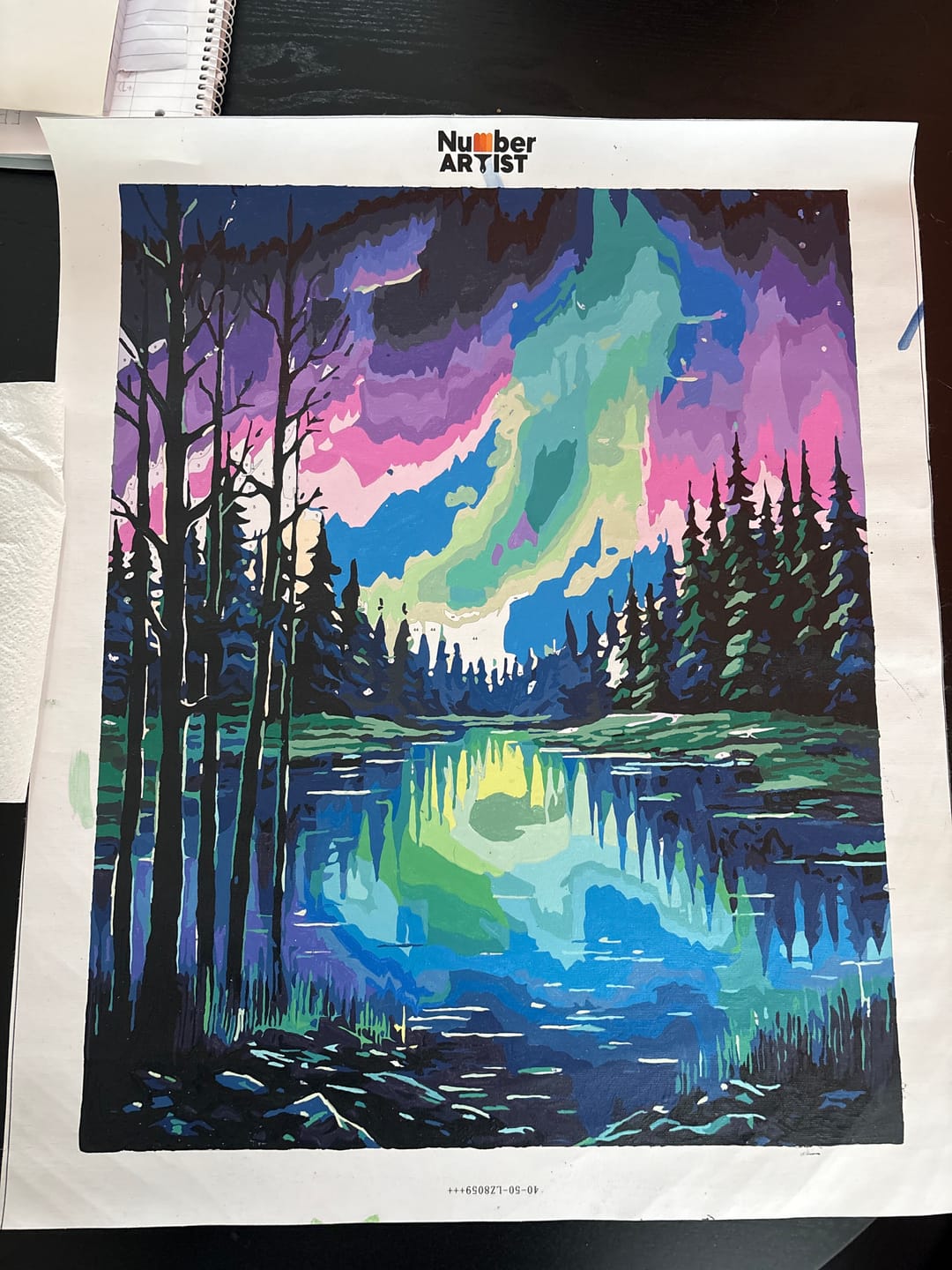 Customer photo review of Aurora Lake Silence