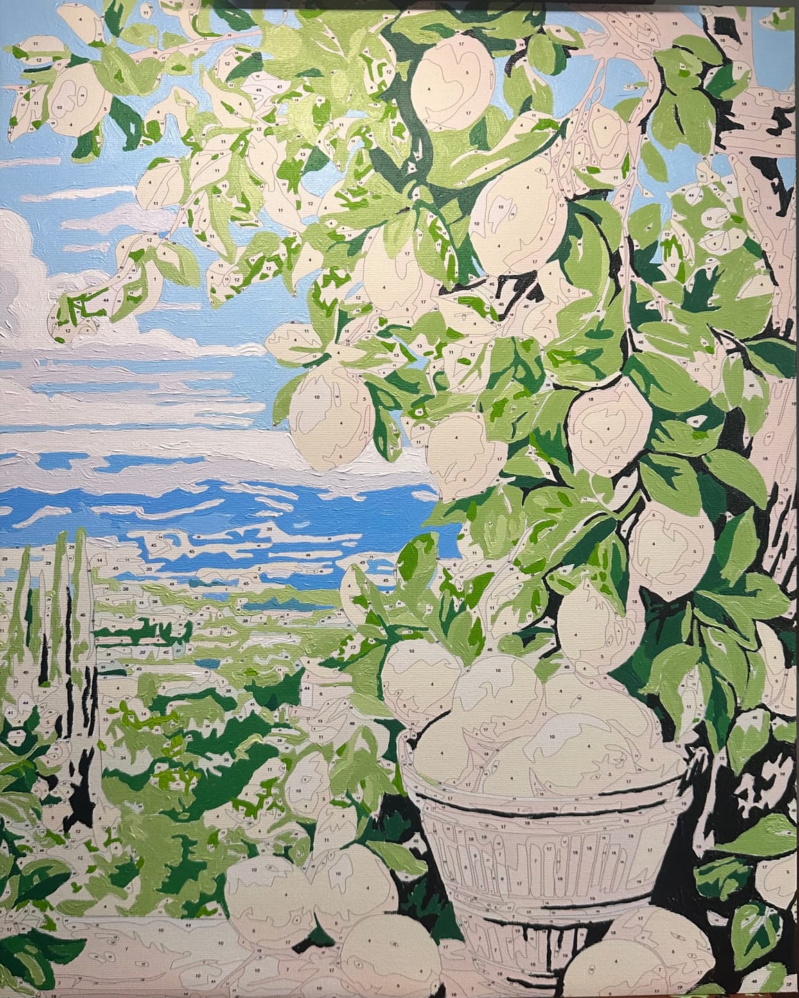 Customer photo review of Bounty Lemons