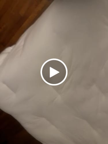 Customer video review of Shipping Protection