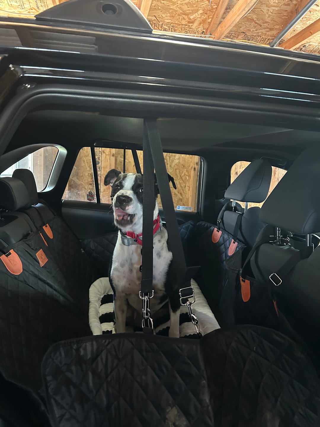 Customer photo review of CozyRider™ 2.0