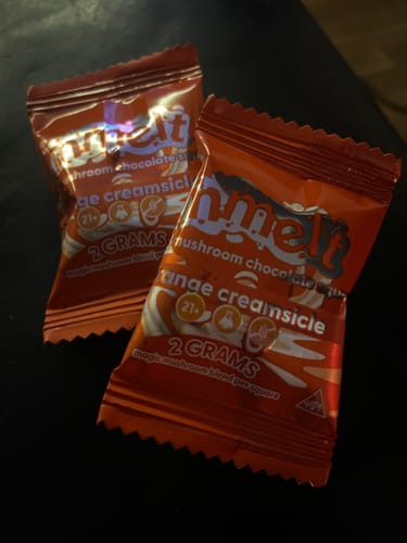 Customer photo review of Mushroom Chocolates