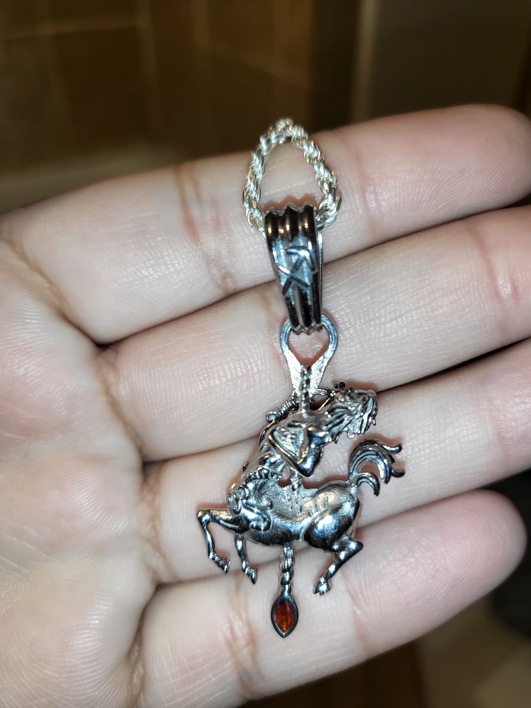 Customer photo review of ZODIAC PENDANTS