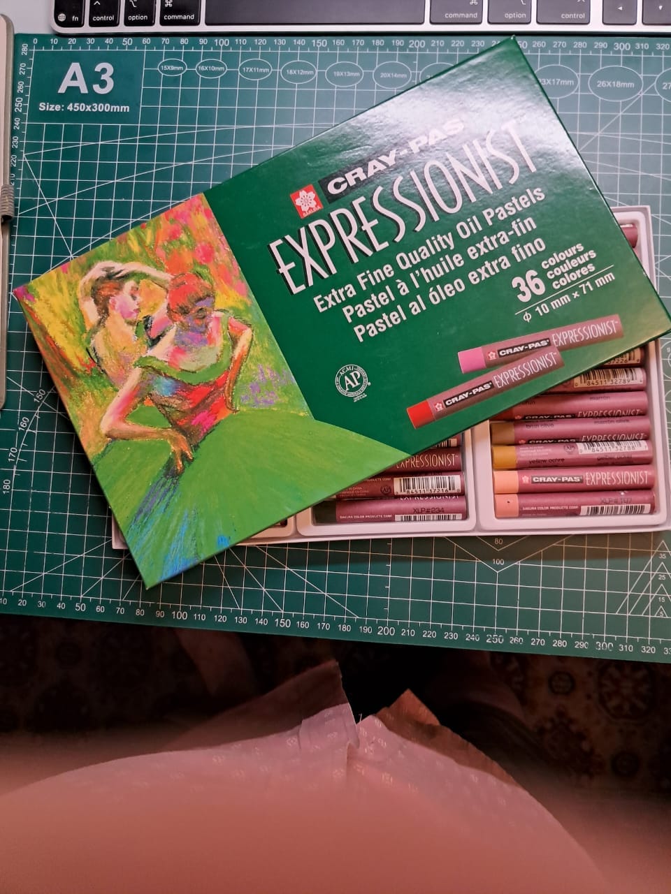 Customer photo review of Sakura Cray-Pas - Set 36 Pasteles al Óleo Expressionist