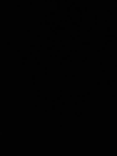 Customer photo review of Handmade Tulip Soy Wax Candle