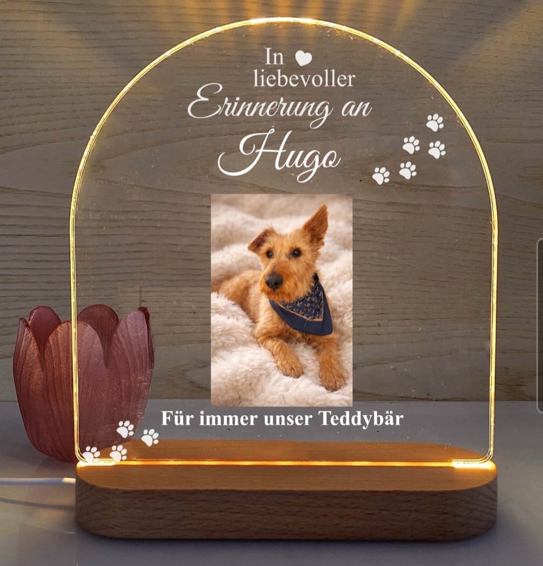 Customer photo review of Zur liebevollen Erinnerung – LED-Lampe für Hund/Katze