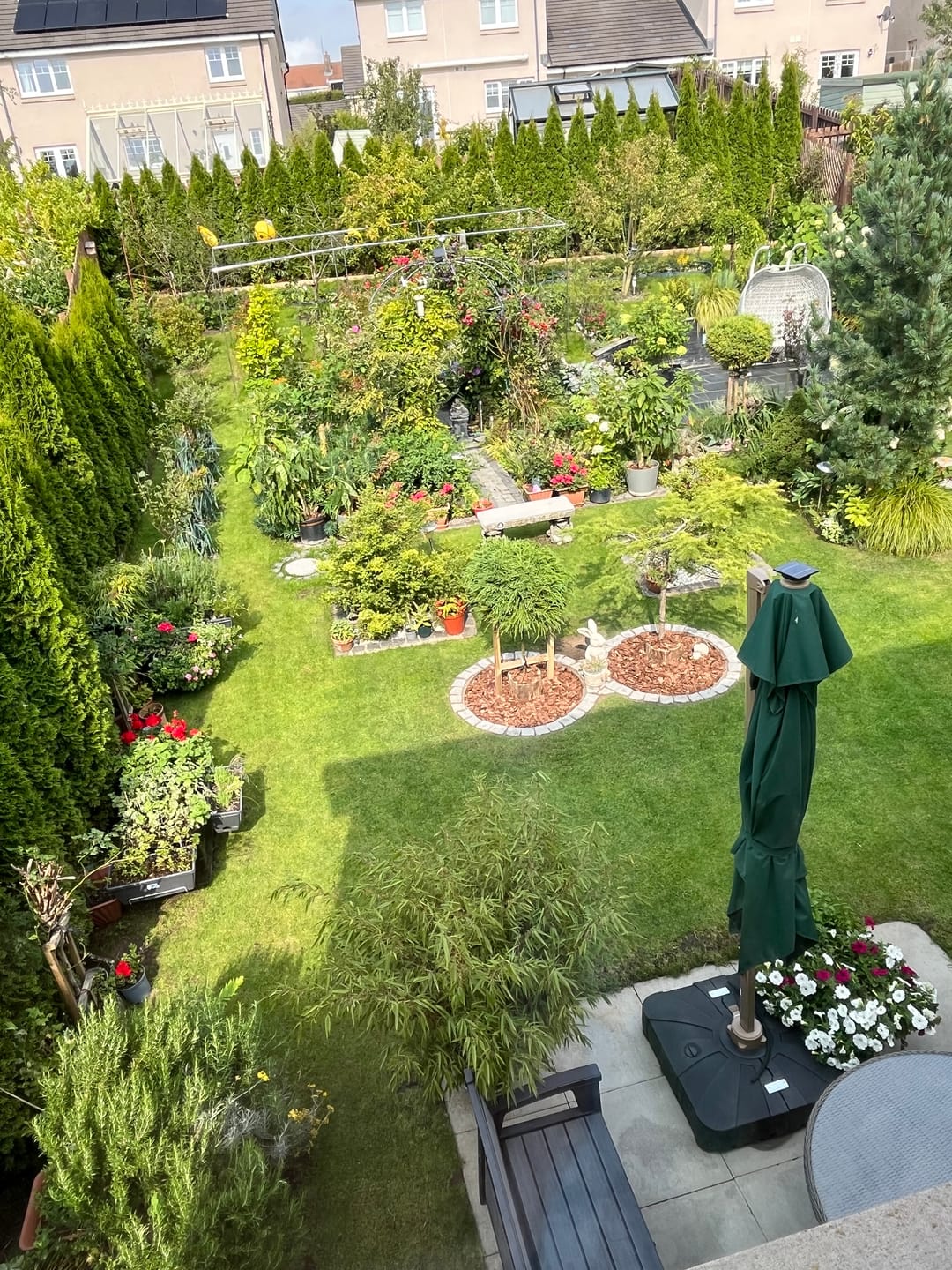 Customer photo review of Natural Liquid Fertiliser 10L