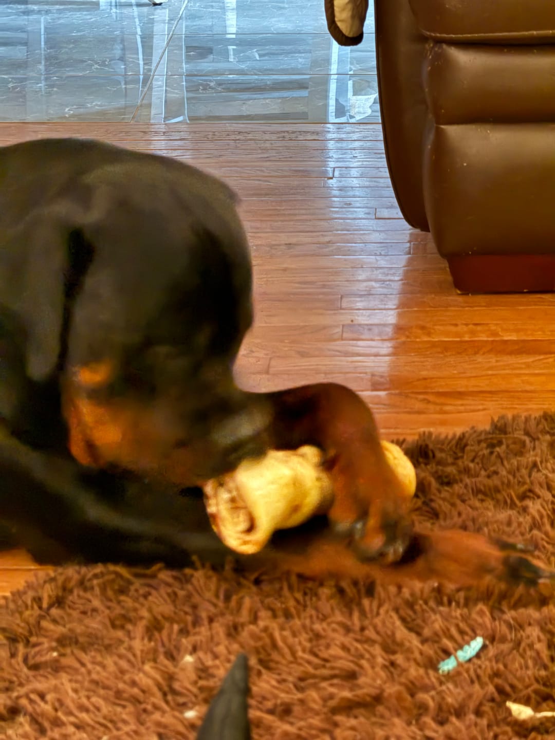 Customer photo review of 10-12 Inch Peanut Butter Cheek Roll