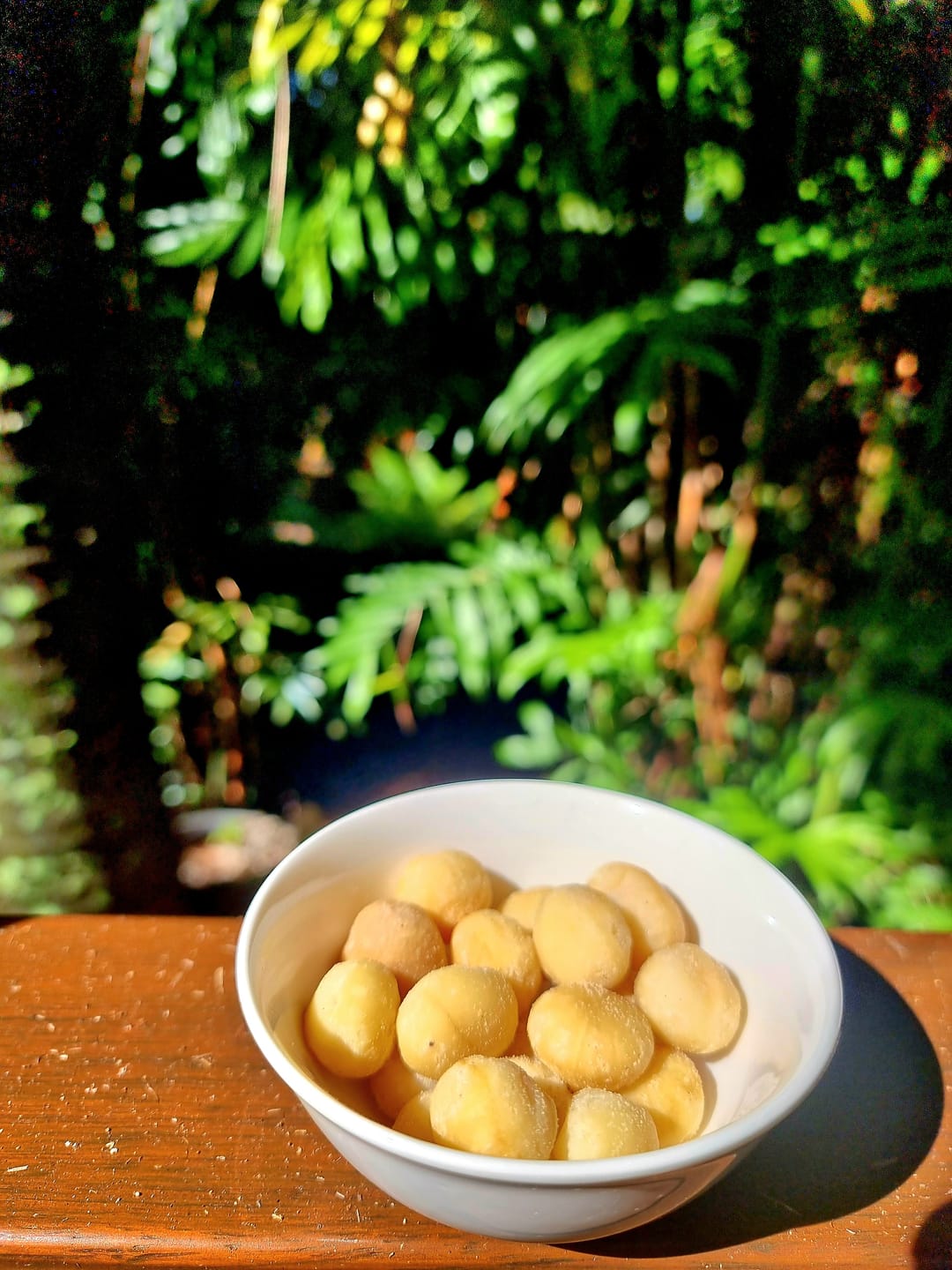 Customer photo review of Roasted Salted Macadamias