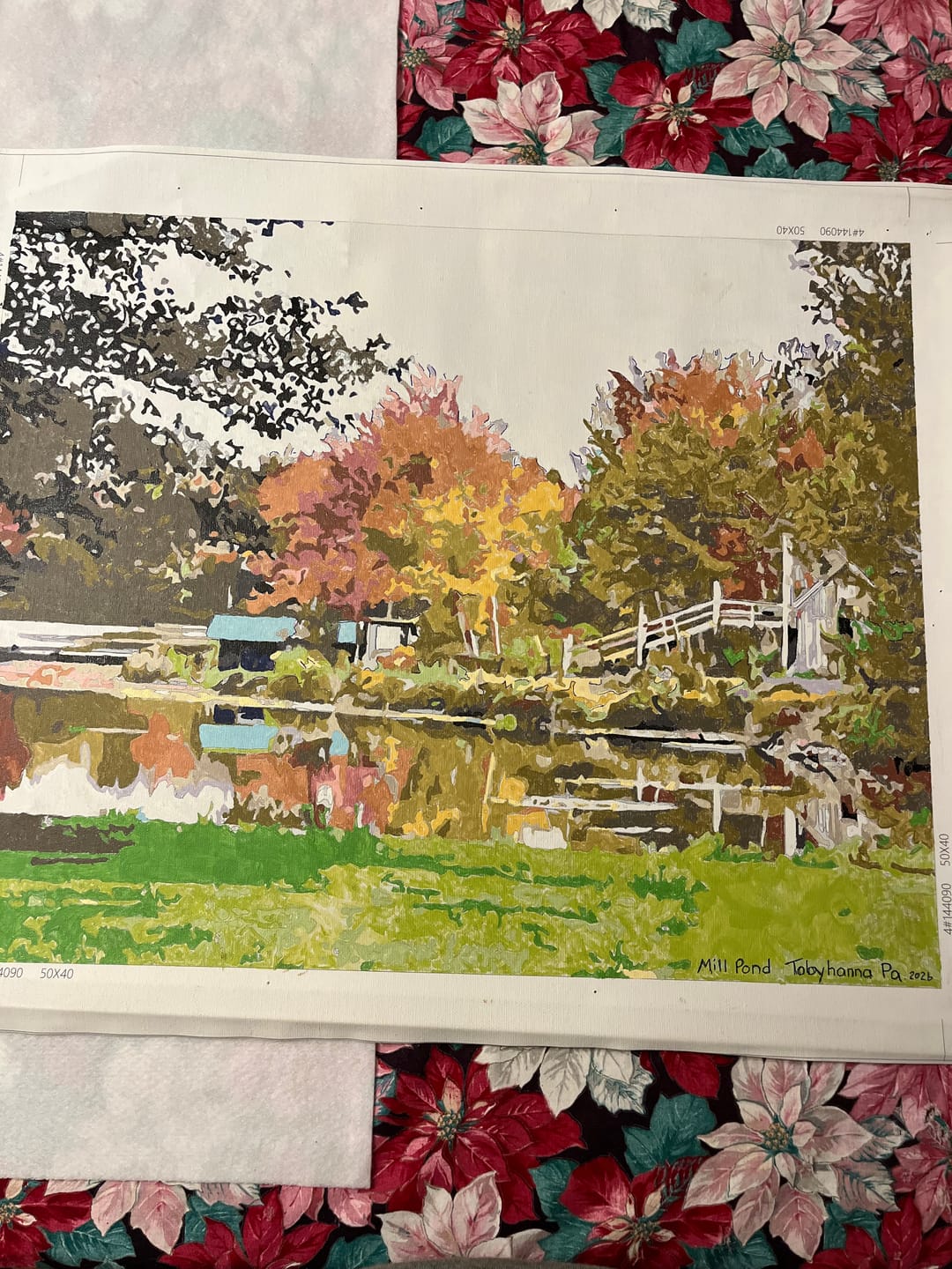 Customer photo review of YOUR PHOTO AS PAINT BY NUMBERS